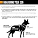 Hurtta Padded Dog Collar, Cherry, 16-20 in