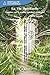 La Vie Spirituelle - Lumière sur le sentier spirituel occidental (Spiritualité occidentale) (French Edition) by 