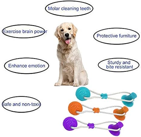 RoSoy Juguete Multifuncional para mordedura de Molar para Mascotas ...