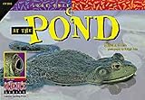 At the Pond (Look Once, Look Again)