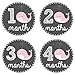 Pinkie Penguin Whale Baby Monthly Stickers - Baby Girl - 1-12 Months - Milestone Onesie Stickers - Month Stickers for Baby