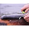 Morakniv-Fishing-Comfort-Fillet-Knife-with-Sandvik-Stainless-Steel-Blade