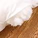 HIPPIH 18 x 18 Pillow Inserts Set of 2, Hypoallergenic Decorative Square Pillow Form Insert with Zips, White