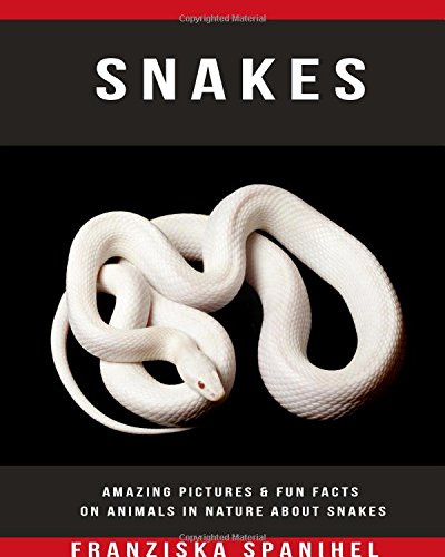 Snakes: Amazing Pictures & Fun Facts on Animals in Nature about Snakes