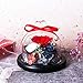 SANRAN Eternal Rose- Preserved Flower Rose Handmade Fresh Flower Rose with Beautiful Creative Heart Design Gift for Valentine's Day Mother's Day Christmas Anniversary Birthday Thanksgiving