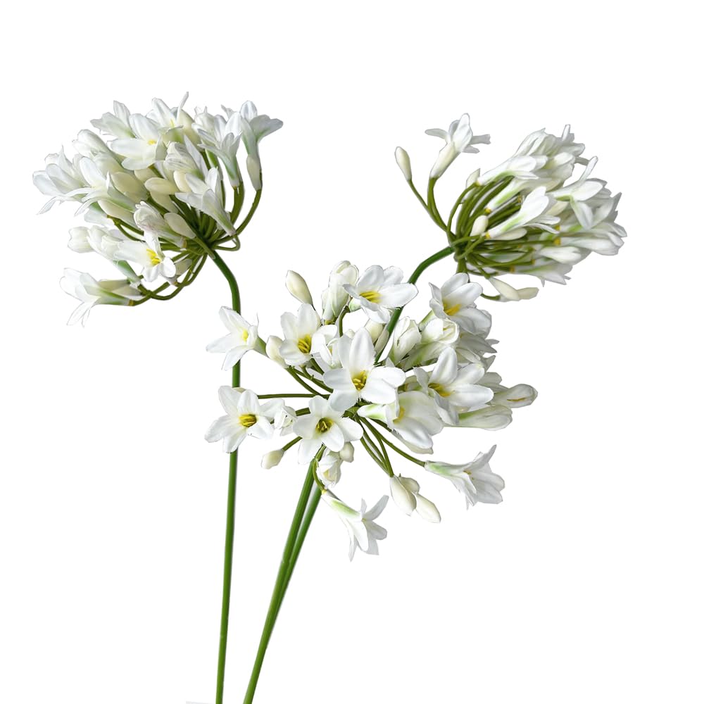 BQEE Artificial Flowers 3PCS African agapanthus Fake Silk Rose for Wedding Centerpieces (White)