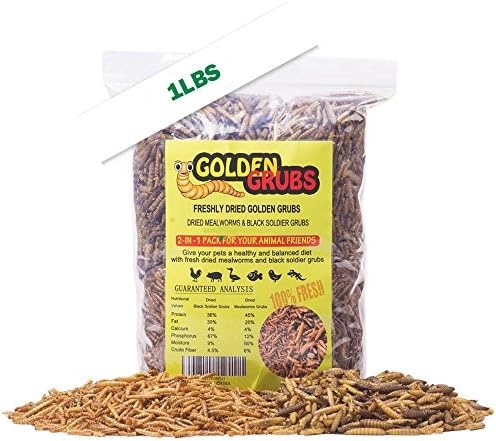 Golden Grubs 5oz Dried Black Soldier Fly Larvae 5oz Dried Mealworms BSF Balanced Diet Combo (1lb)