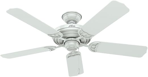Amazon Com Hunter Indoor Outdoor Ceiling Fan With Pull Chain