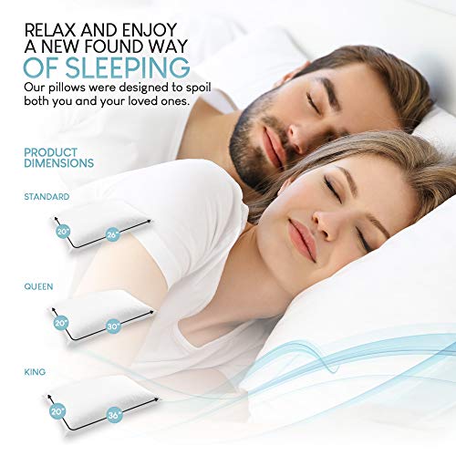 European 800 Fill Power White Goose Down Pillow. (Queen) Pricepulse