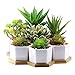 Set of 7 Hexagon Shaped Ceramic Succulent Planters Cactus Flower Pots, Geometric Plant Pots with Bamboo Tray
