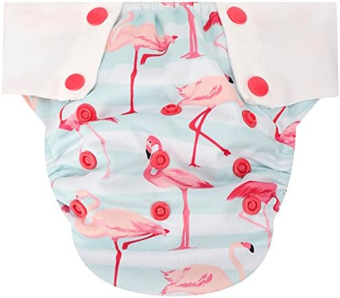 HappyEndings Toddler/Kid Pull On Reusable Cloth Diapers/Training Pants (Medium, (Fits 35-50lbs), Flamingos)