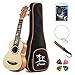 Donner Soprano Ukulele 21 inch，Beginners Ukulele for Adult，Satin Mahogany & Starter Kit - Online Lesson，Gig Bag，Strap Nylon Strin Tuner Picks Cloth Ukalalee Set DUS-3
