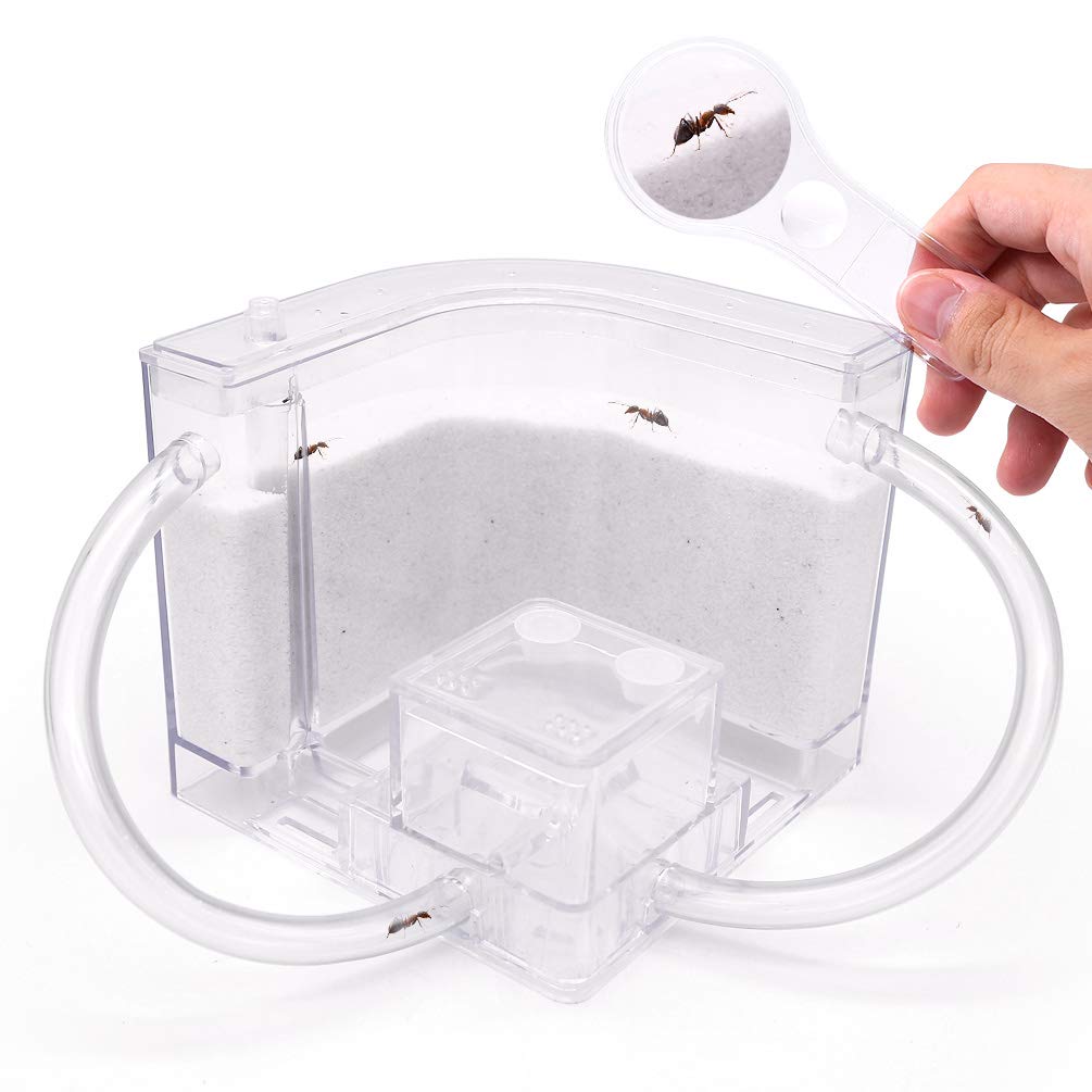 NAVAdeal Sand Ant Farm with Connecting Tubes, Habitat Educational & Learning Science Kit Toy for Kids & Adults - Allows Study of Ecosystem, Behavior of Ants, Explore The World at Home and School