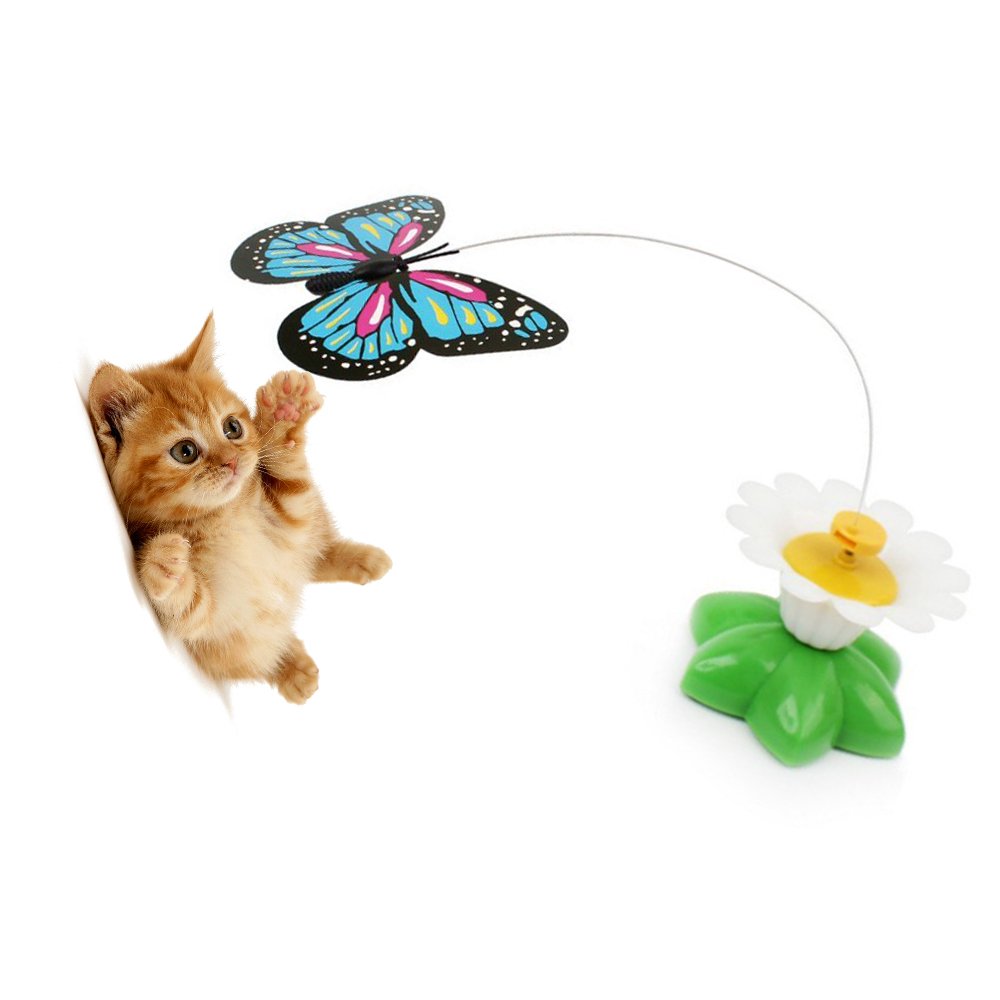 Cat Toy Interactive Electric Swivel Funn Buy Online In Cambodia At Desertcart