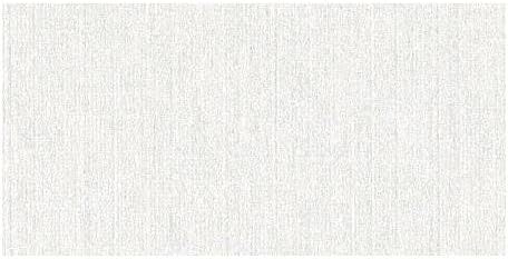 WorldWin Petallics Double-Sided Cardstock 8.5"X11"-Silver Ore Linen Embossed
