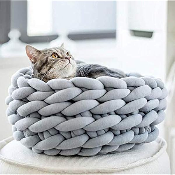 wool cat bed