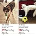 365 Cats Page-A-Day Calendar 2019