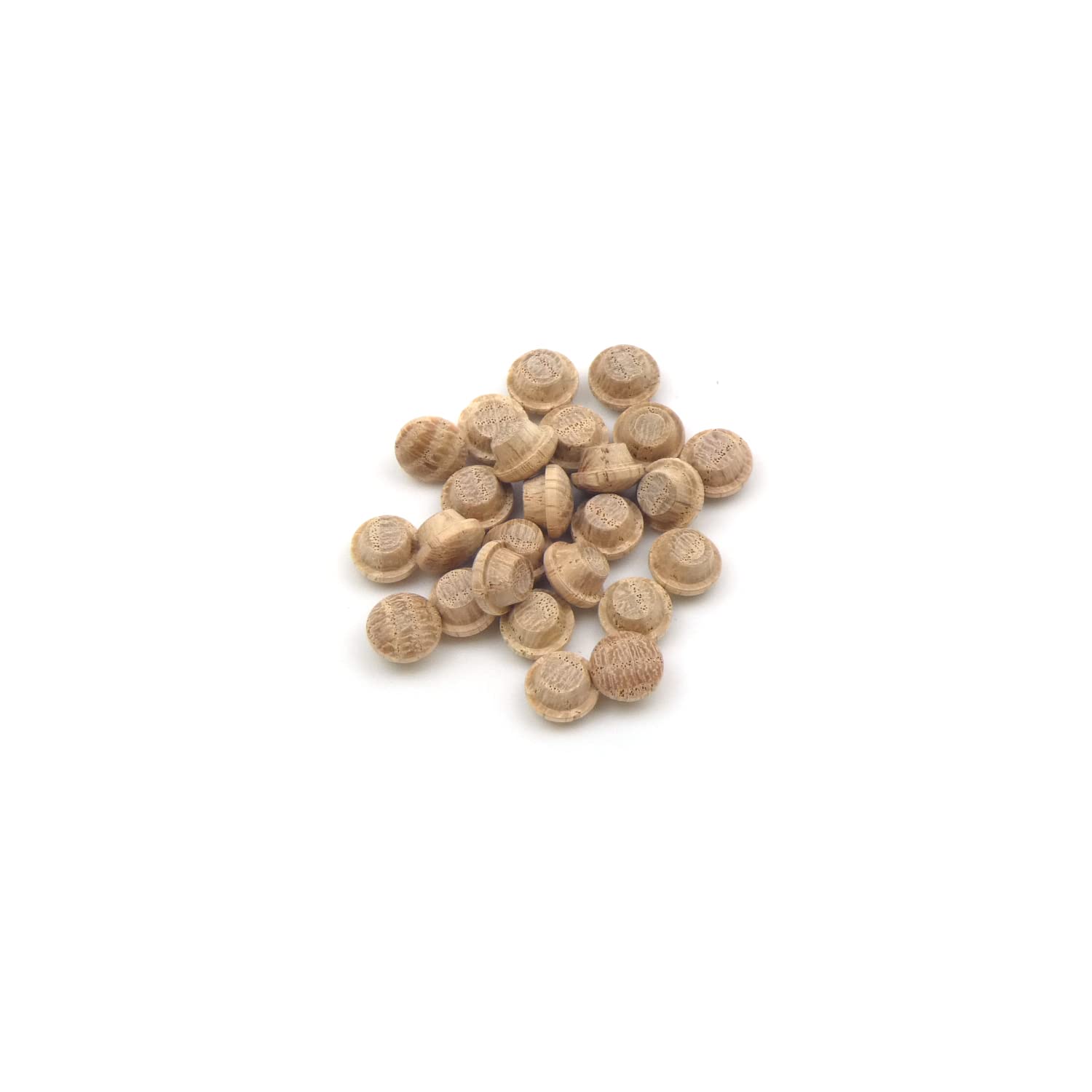 Oak Mushroom Plug 1/4" - 6.5mm - Pack of 25