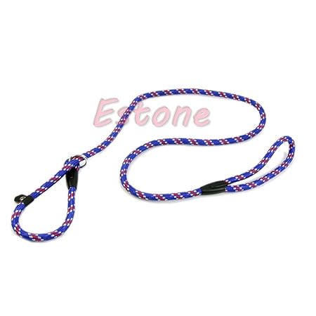 Dabixx Pet Chain Cesar Millan Dog Leash Whisperer Slip Training Correction Lead and Collar Style 135 cm Blue
