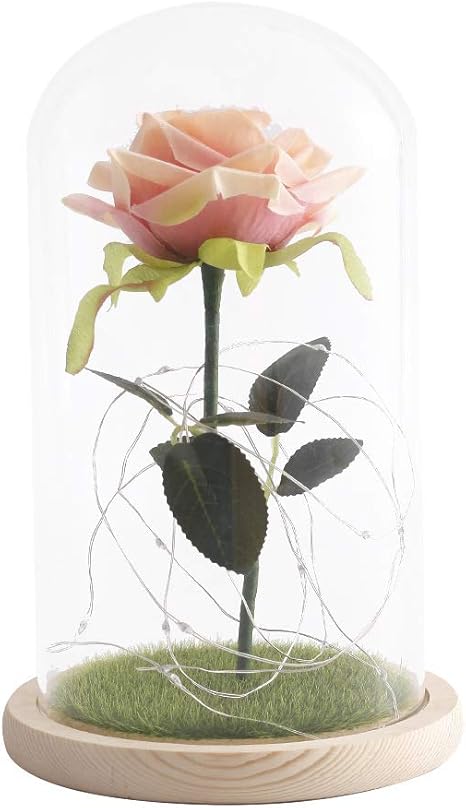 Amazon Qiki ロマンチックな不死の花 マイクロランドスケープ ローズガラスカバー ホームデコレーション 造花 オンライン通販