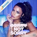 Sorry Not Sorry [Explicit]