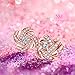NM NINAMISS Rose Gold Earrings for Women Sterling Silver Studs Gifts for Her Wife Anniversary Birthday Gifts for Mother Daughter Mom Girlfriend CZ Fine Jewelry Hypoallergenic