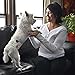 Dog Diapers Wraps for Male Dogs Reusable Washable Eco-Friendly - 3 Pack | Super Absorbent Lasting Protection Soft Breathable Mesh Velcro | Male Marking | Urinary Incontinence| Excitable Urination