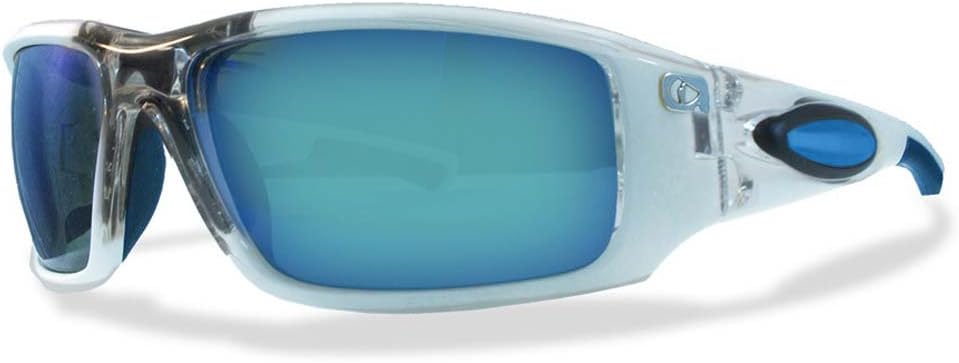 amphibia sunglasses dealers