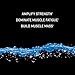 PERFORMIX CREA-BEAD Multi-Phase Creatine Powder, Endurance and Strength, Build Muscle Mass - 45 Servings Blue Razz Ice