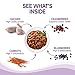 Wellness Healthy Indulgence Morsels Grain-Free Wet Cat Food, Made with Natural Ingredients, Quality Proteins, Complete and Balanced Meal, 3 oz Pouches (Chicken & Salmon, 24 Pack)