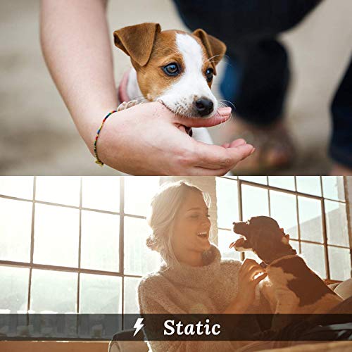 Peteme Dog Training Shock Collar Rechargeable with Beep/Vibra/Electric