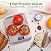 TENDOMI Digital Kitchen Scale/Food Scale Slim Multifunction Compact Metric Scale for Baking Cooking with LCD Display, 11 lbs/5 kg Capacity, Precision Measuring, Stainless Steel (Batteries Included)