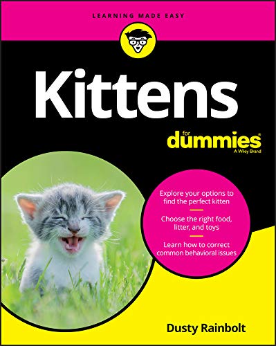 Kittens For Dummies by Rainbolt