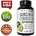 Best Garcinia Cambogia Extract Raw 95% HCA Weight Loss Pills for Women and Men - Fat Burning Supplement Boost Metabolism and Increase Energy - Natural Antioxidant for Immune System, 60 Capsules