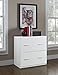 Ameriwood Home Princeton Lateral File Cabinet, White