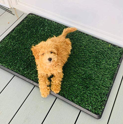 Pet Grass Pad with Tray, Artificial Turf Grass Pee Pad Potty Training for Indoor Outdoor Use, Washable Replacement Potty Mat for Dog (Green, 20''x30'')