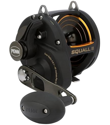 Amazon.com : Fathom II Lever Drag 2 Speed - 80LD2 Conv Reel Box