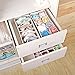 Magicfly Bra Organizer, Closet Undergarment Organizer for Drawer, Sturdy Collapsible Drawer Divider for Socks Panties Bra Ties Lingerie Drawer Organizer, Set of 4, Beige