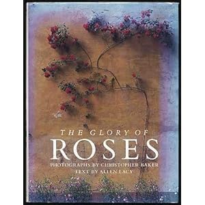 The Glory of Roses