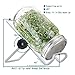 Stainless Steel Sprouting Kit for Mason, iPad & Phone. Include Sprouting Stands & Sprouting Lids, Used to make Sprouts, Broccoli, Lentil Seeds. - 2 Set
