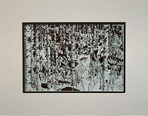 The Art of Bev Doolittle: Maclay, Elise, Doolittle, Bev