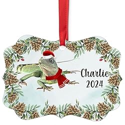Chinese Water Dragon Christmas Ornament 2024