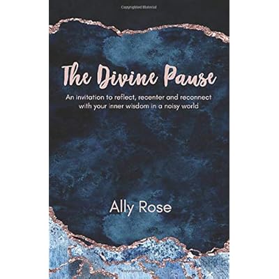 The Divine Pause: An invitation to reflect, recenter and reconnect with your inner wisdom in a noisy world