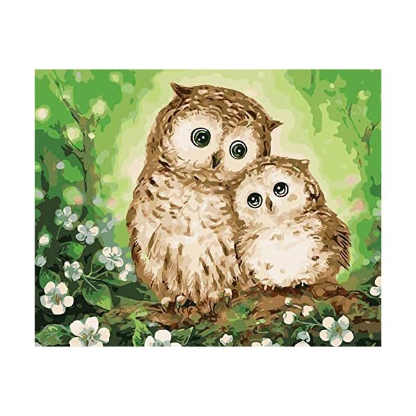 WOWDECOR DIY Malen nach Zahlen für Erwachsene Kinder Mädchen, Eule Liebe Blume Süß 40x50cm Vorgedruckt Leinwand-Ölgemälde (ohne Rahmen)