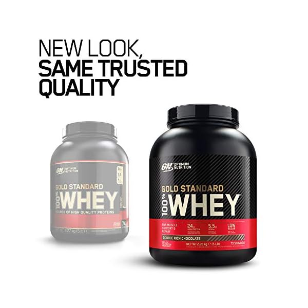 Optimum-Nutrition-ON-Gold-Standard-Whey-Muscle-Building-and-Recovery-Protein-Powder-With-Naturally-Occurring-Glutamine-and-Amino-Acids-Double-Rich-Chocolate-73-Servings-226-kg-Packaging-May-Vary Optimum Nutrition Gold Standard Whey Muscle Building and Recovery Protein Powder With Naturally Occurring Glutamine and…