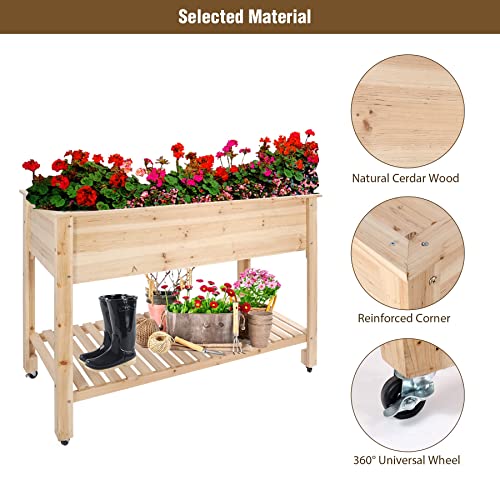 Stonehomy Elevated Garden Beds Wood with Wheels and Shelf, Weatherproof