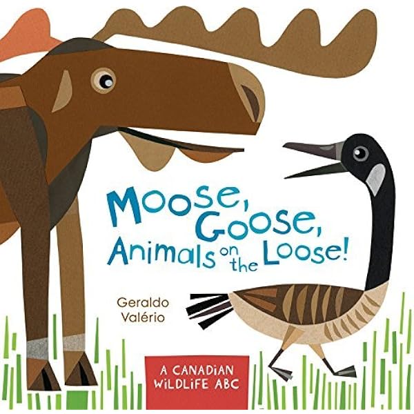 moose goose jackets