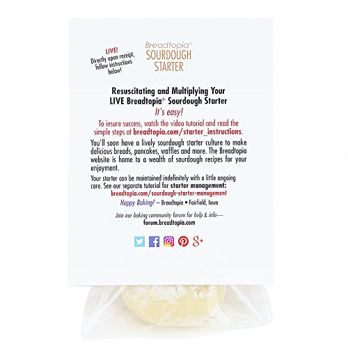 Breadtopia Sourdough Starter (Live) Buy Online in UAE. Grocery