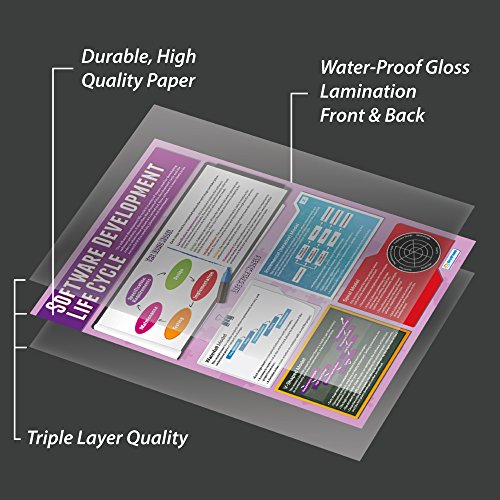 Software Development Life Cycle | Classroom Posters for Computer Science | Laminated Gloss Paper measuring 33” x 23.5”, School Posters for the Classroom, Educational Charts, by Daydream Education