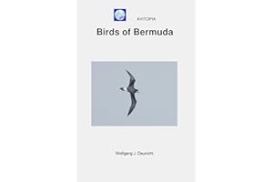 AVITOPIA - Birds of Bermuda